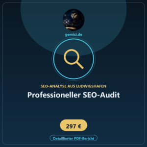 seo-audit-professionelle-website-analyse