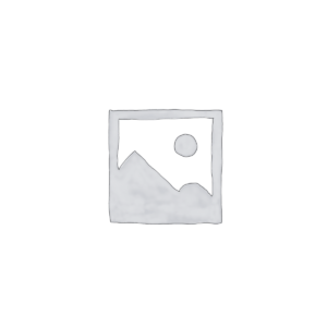 chatgpt-prompt-paket-100-business-prompts
